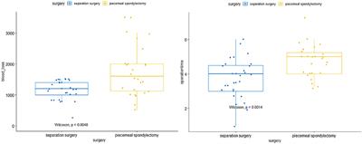 Comparison of Surgical Outcomes Between Separation Surgery and Piecemeal Spondylectomy for Spinal Metastasis: A Retrospective Analysis